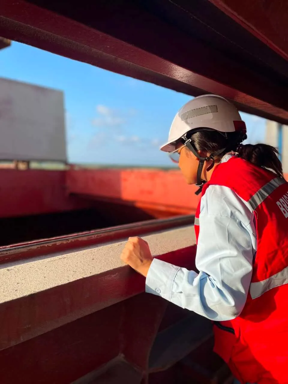 Carbón industrial GlobalComAgent